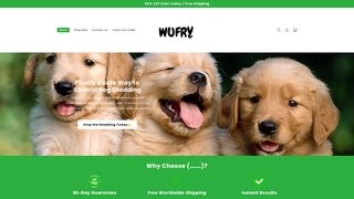 Thumbnail of wufry.com