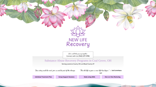 Thumbnail of nlrecovery.com