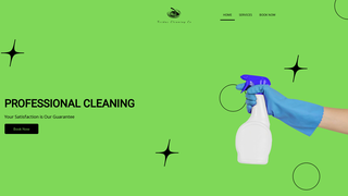 Thumbnail of neidascleaning.com