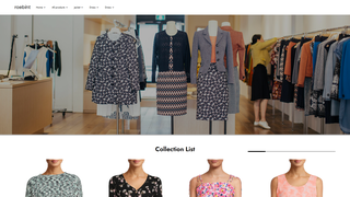 Thumbnail of roebint.com