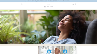 Thumbnail of penvoro.com