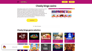 Thumbnail of cheekybingocasino.net