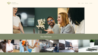 Thumbnail of colonyconsultinglv.com