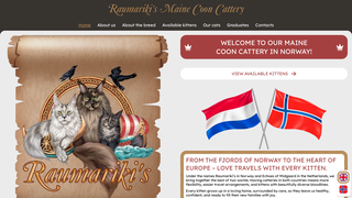 Thumbnail of raumarikis.com
