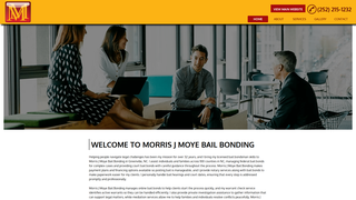 Thumbnail of bailbondservicegreenville.com