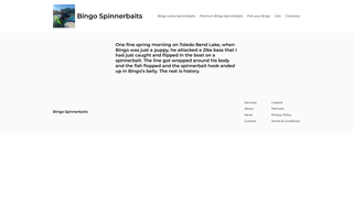 Thumbnail of bingospinnerbaits.com