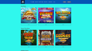 Thumbnail of gamble-meaning.com