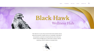 Thumbnail of blackhawkwellnesshub.com
