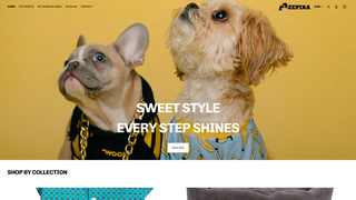 Thumbnail of zepixa.com