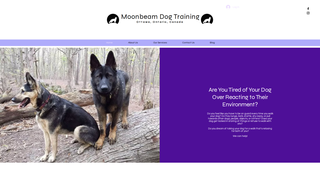 Thumbnail of moonbeamdogtraining.com