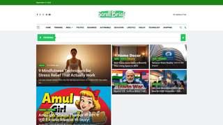 Thumbnail of scrollbrief.com