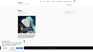 website thumbnail