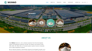 Thumbnail of xwhhpmc.com