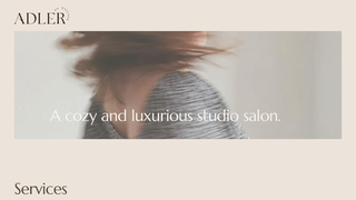 Thumbnail of adleronballard.com