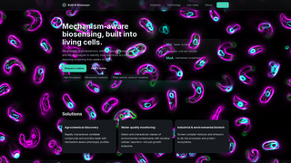 Thumbnail of built-n-bioassays.com