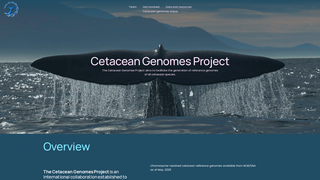 Site preview