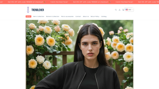 Thumbnail of trendleher.com