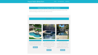 Thumbnail of aqua-leak-detection.com