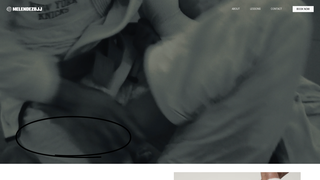 Thumbnail of melendezbjj.com