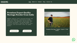 Screenshot of edgeincglobal.com