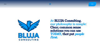 Thumbnail of blujaconsulting.com