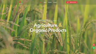 Screenshot of amaravaagro.com