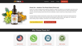 Thumbnail of pineals10x.com