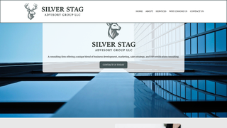 Thumbnail of silverstaggroup.com