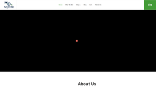 Thumbnail of flyvonto.com