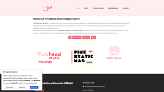 Thumbnail of pinkheadmusicrecords.com