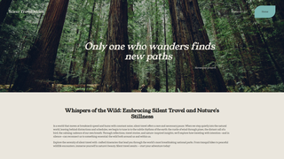 Thumbnail of silenttravelmiles.com