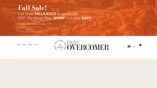 Thumbnail of painovercomer.com