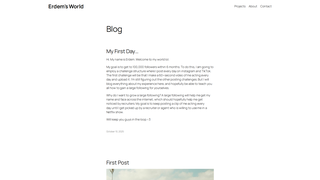 Thumbnail of erdemsworld.com