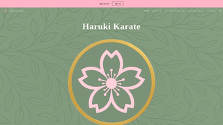 Thumbnail of harukikarate.com