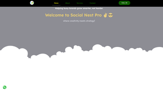 Thumbnail of socialnestpro.com