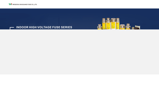 Thumbnail of zjsrfuse.com