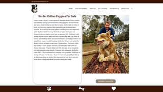 Thumbnail of legacybordercollies.com