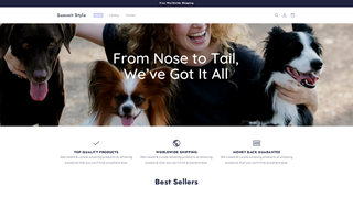 Thumbnail of summitstly.com