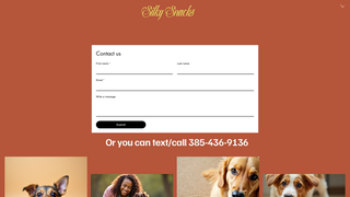 Thumbnail of silkysnackshop.com