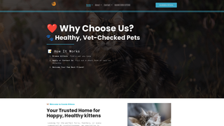 Thumbnail of cooniekittens.com