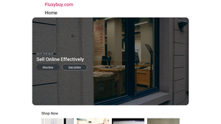 website thumbnail
