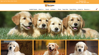Thumbnail of theminigoldenretrievers.com
