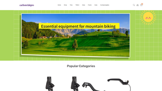 Thumbnail of carbonridepro.com