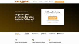 Thumbnail of antsrodentssalisbury.com