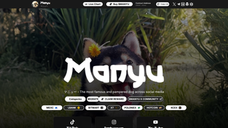 Thumbnail of gomanyu-revvit.com