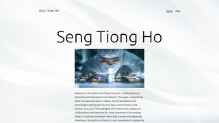 Thumbnail of seng-tiong-ho.net