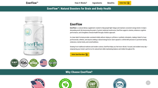 Thumbnail of eng-en-enerflow.com