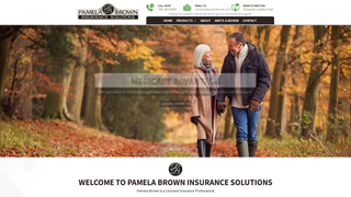 Thumbnail of pbrowninsurance.com