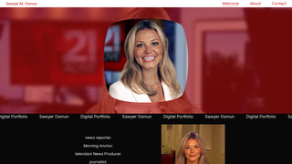 Screenshot of sawyerosmun.com