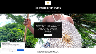 Thumbnail of dzidzorneva.com